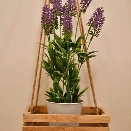 La Rosa Dei Venti 알라시오