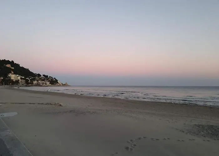 La Rosa Dei Venti B&B 3*